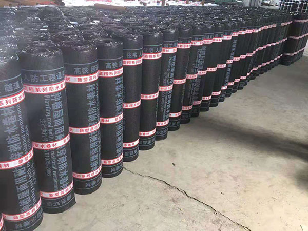 �͸�����SBS��ˮ����